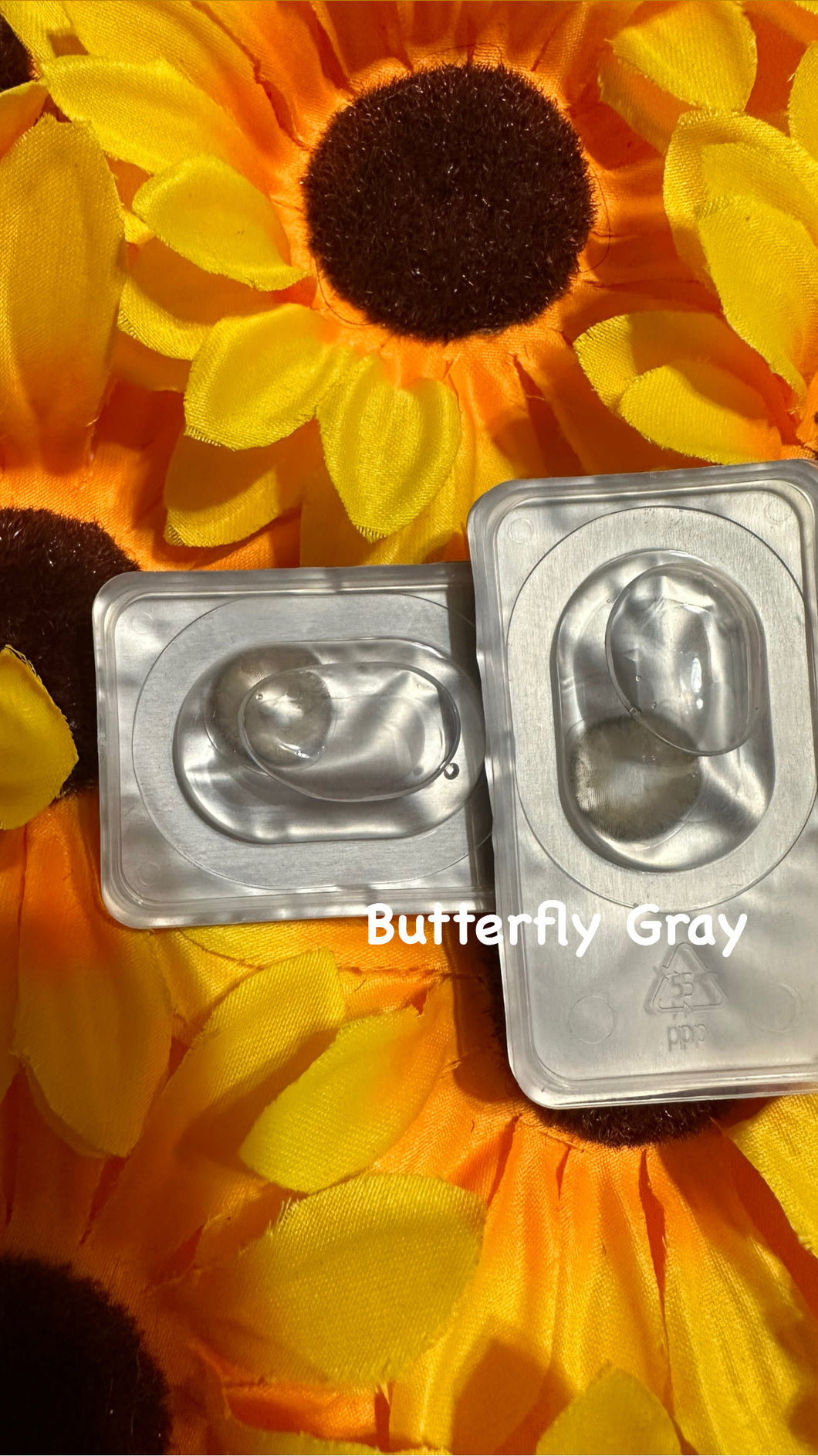 Butterfly Gray