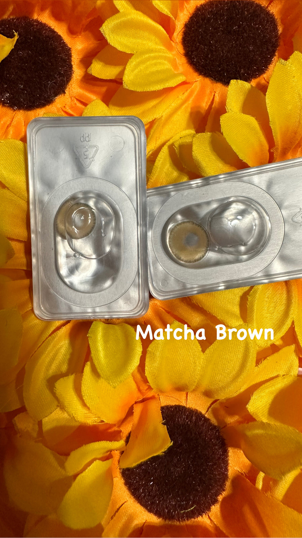 Matcha Brown