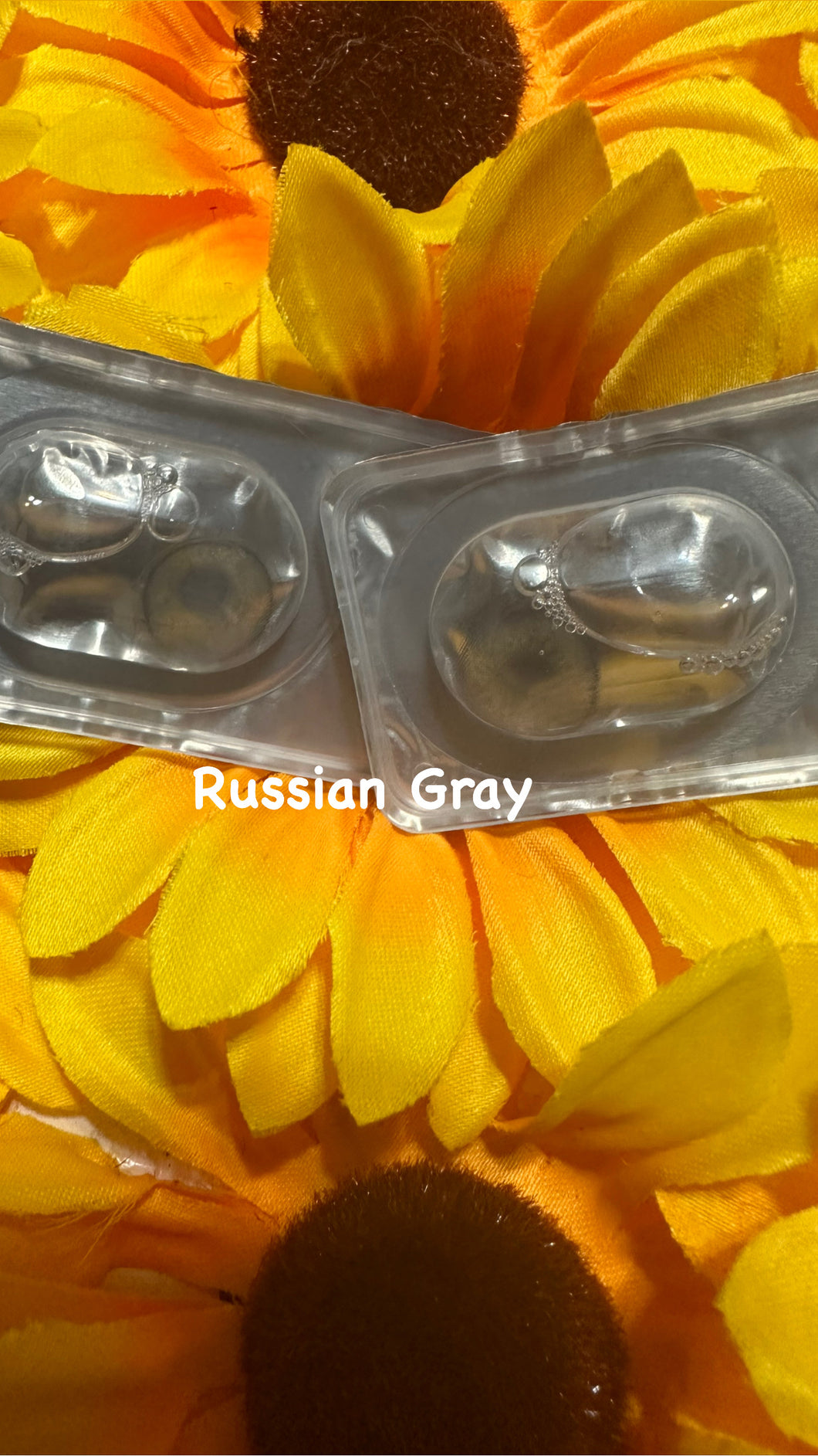 Russian Gray