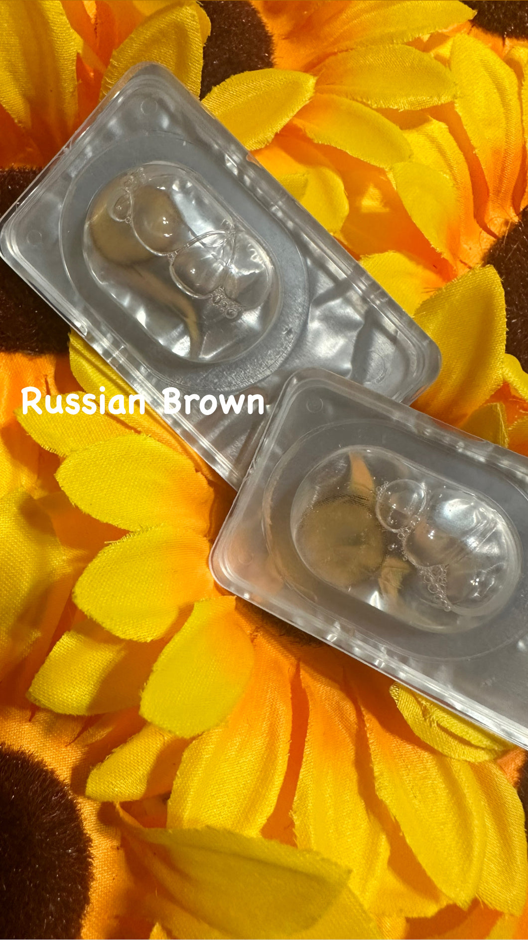 Russian Brown Contacts